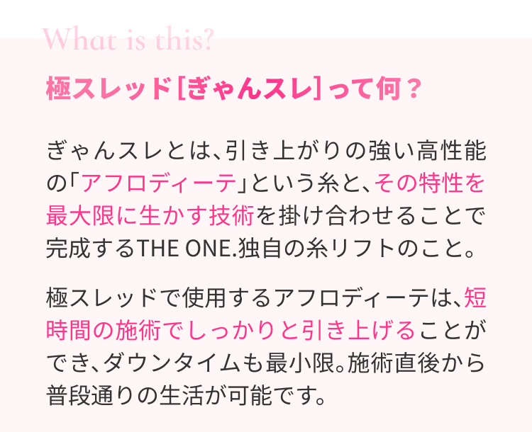 極スレッドぎゃんスレって何？